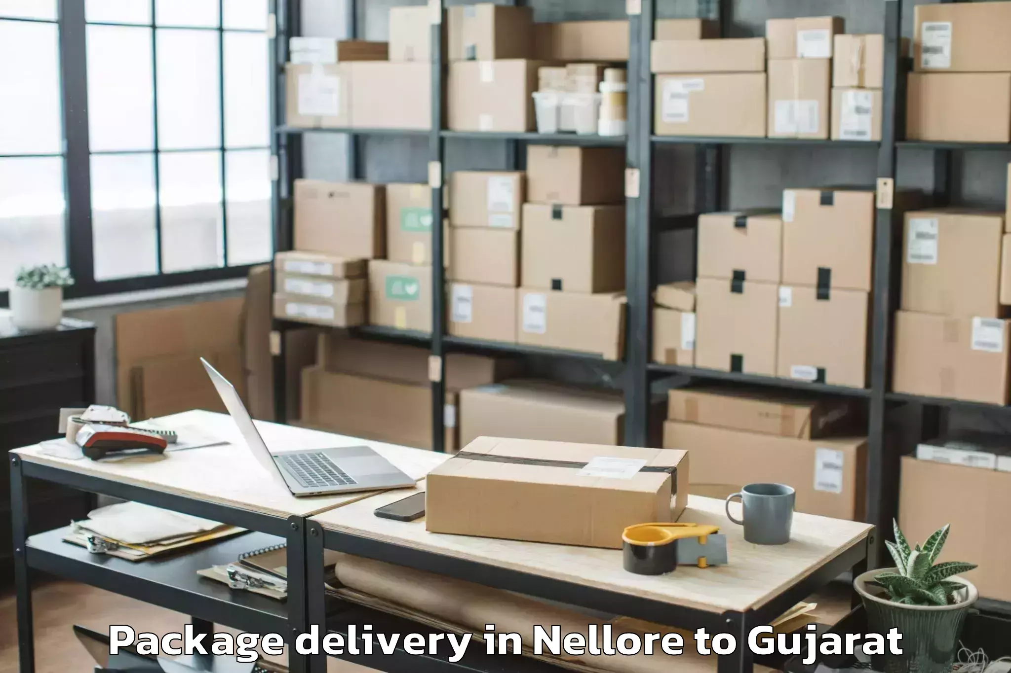 Reliable Nellore to Junagadh Agricultural Universi Package Delivery